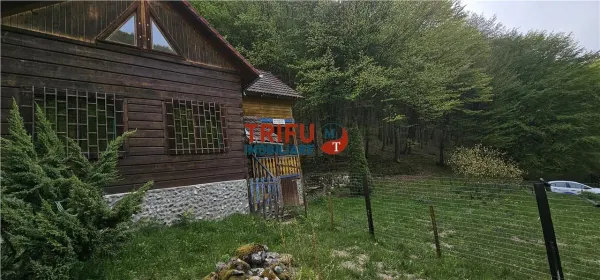 Casă 4 camere Ighiel - poza 13