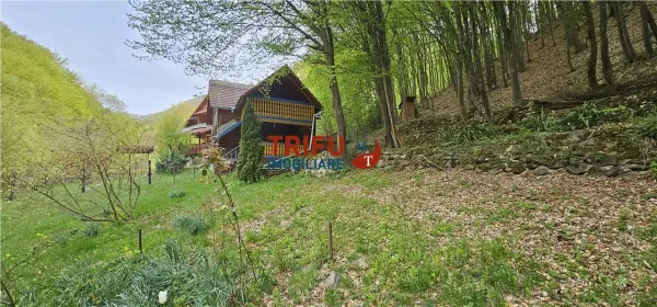 Casă 4 camere Ighiel - poza 14