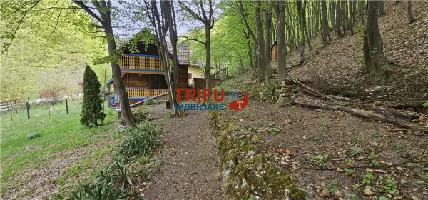Casă 4 camere Ighiel - poza 15