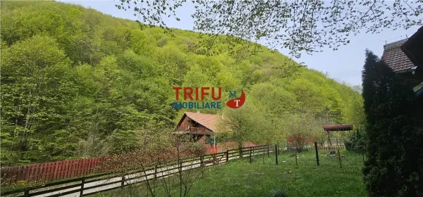 Casă 4 camere Ighiel - poza 16