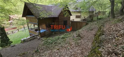 Casă de vacanță la pădure | Teren 891 mp | Valea Ighielului - foto 17