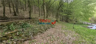 Casă 4 camere Ighiel - poza 30