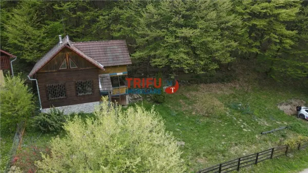 Casă 4 camere Ighiel - poza 7