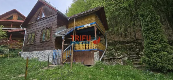 Casă 4 camere Ighiel - poza 10
