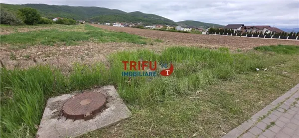 Teren Alba Iulia - poza 3