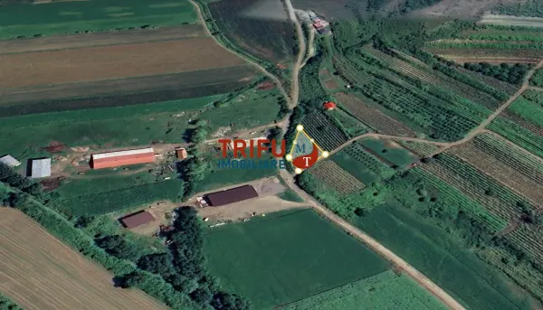 Teren Șard - poza 1
