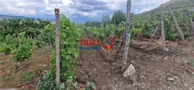 Teren 600 mp accesibil în Șard, zonă liniștită - foto 6