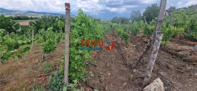 Teren 600 mp accesibil în Șard, zonă liniștită - foto 8