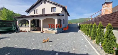 Casa 5 camere de vanzare Alba Micesti - foto 3
