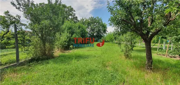 Casă 3 camere Ciugud - poza 5