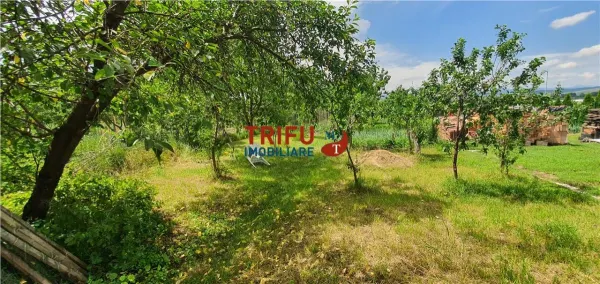 Casă 3 camere Ciugud - poza 6