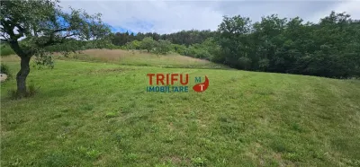 Casa de vanzare, 5600 mp teren, cu utilitati, zona Paclisa - foto 4