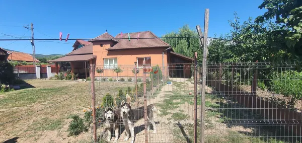 Casă 2 camere Alba Iulia - poza 1