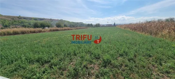 Teren Ciugud - poza 1