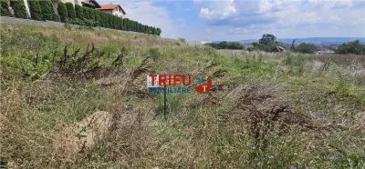 Teren cu utilitati de vanzare, 1076 mp teren, Zona Cetate - foto 2