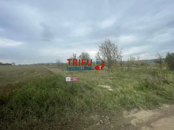 Teren Alba Iulia - poza 1