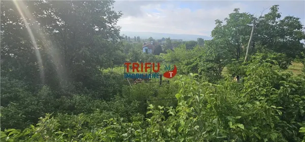 Teren Alba Iulia - poza 2