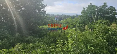 Teren intravilan construibil 766mp Cetate zona Schit - foto 2