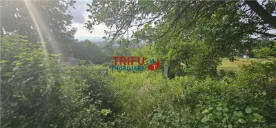 Teren intravilan construibil 766mp Cetate zona Schit - foto 3