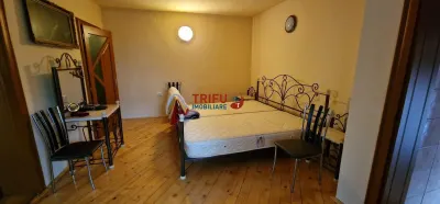 Casa de vanzare 6 camere, 300 mp construiti, ultracentral - foto 7