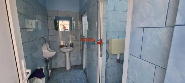 Spațiu comercial Vințu de Jos - poza 8