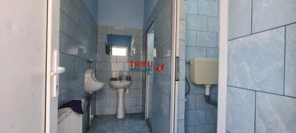 Spațiu comercial Vințu de Jos - poza 9