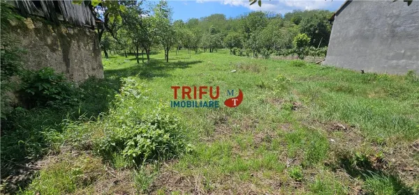 Casă 2 camere Cricău - poza 13