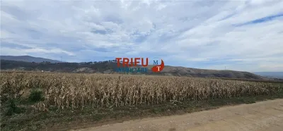 Teren Extravilan în Zona Paclisa, Alba Iulia 3400mp - Alba Iulia