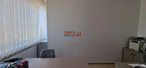 Spațiu industrial Alba Iulia - poza 13