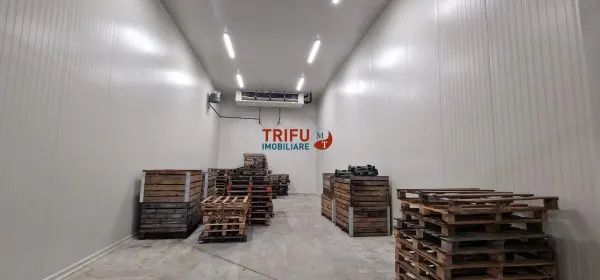 Spațiu industrial Alba Iulia - poza 8