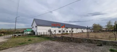 Motel in constructie de vanzare 1750 mp zona Sebes-Alba - Alba Iulia