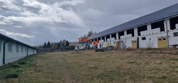 Spațiu comercial Alba Iulia - poza 3