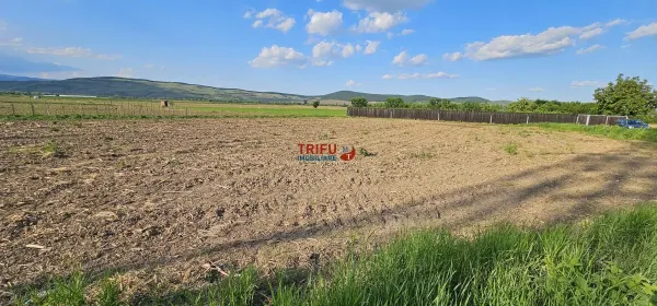 Teren Alba Iulia - poza 2