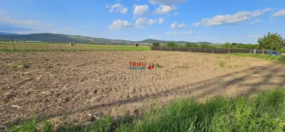 Teren construibil 300mp zona Micesti - foto 2