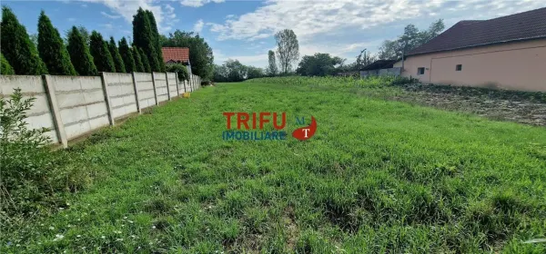 Teren Ighiu - poza 2