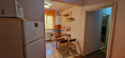 Apartament 2 camere etaj 2 Cetate mobilat si utilat - foto 11