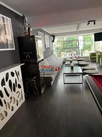 Spațiu comercial Alba Iulia - poza 6