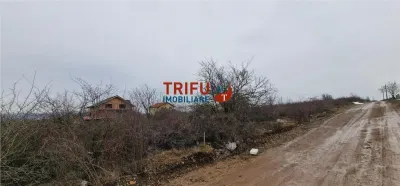Teren de vanzare zona Podei - foto 6