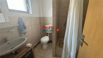 Spațiu comercial Alba Iulia - poza 10