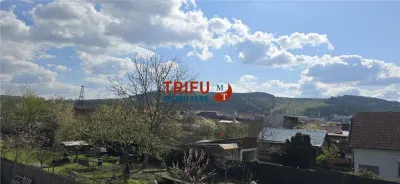 Casa preabilă pensiune în Ocna Mureș - foto 18