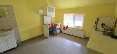 Casa preabilă pensiune în Ocna Mureș - foto 10