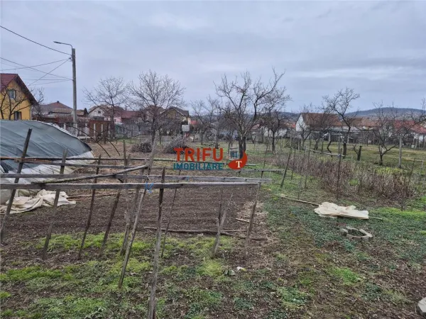 Casă 5 camere Alba Iulia - poza 4