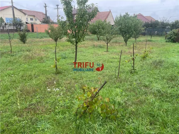 Teren Alba Iulia - poza 5