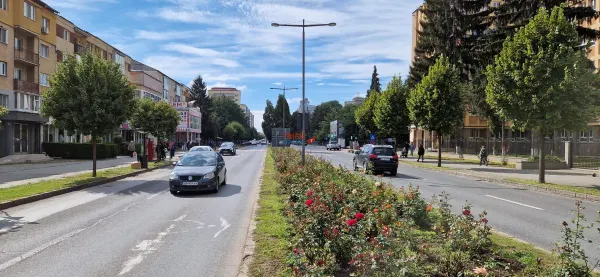 Spațiu comercial Alba Iulia - poza 2