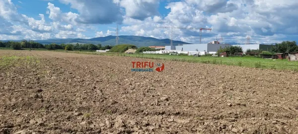 Teren Alba Iulia - poza 3