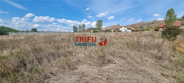Teren Ciugud - poza 2