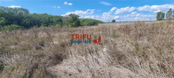 Teren Ciugud - poza 3