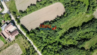 Teren intravilan 4600mp in Oarda de Sus - foto 3