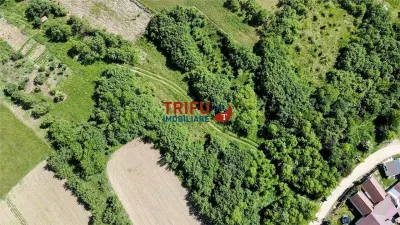 Teren intravilan 4600mp in Oarda de Sus - foto 4
