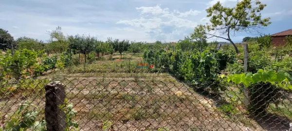 Casă 3 camere Galda de Jos - poza 14
